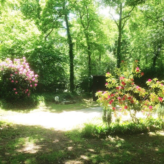 Kampeervereniging Licht & Lucht — Fotka 9 z 12