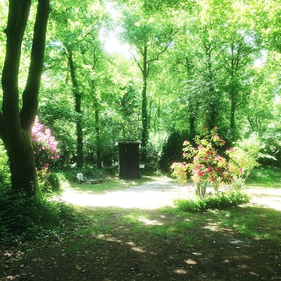 Kampeervereniging Licht & Lucht — Fotka 10 z 12